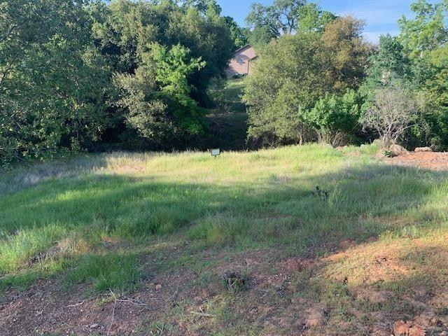 751 Grinding Rock Road, Angels Camp, California 95222, ,Land,For Sale,Grinding Rock,202303323