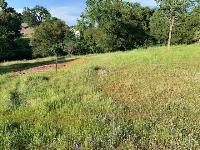 751 Grinding Rock Road, Angels Camp, California 95222, ,Land,For Sale,Grinding Rock,202303323