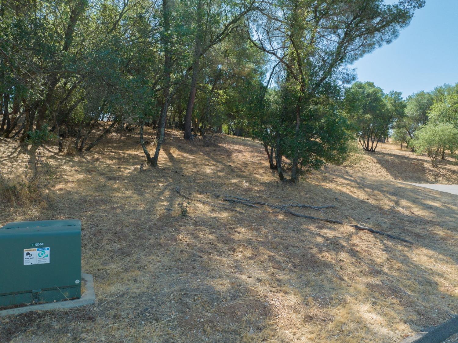 323 Mill Court, Angels Camp, California 95222, ,Land,For Sale,Mill,202303329