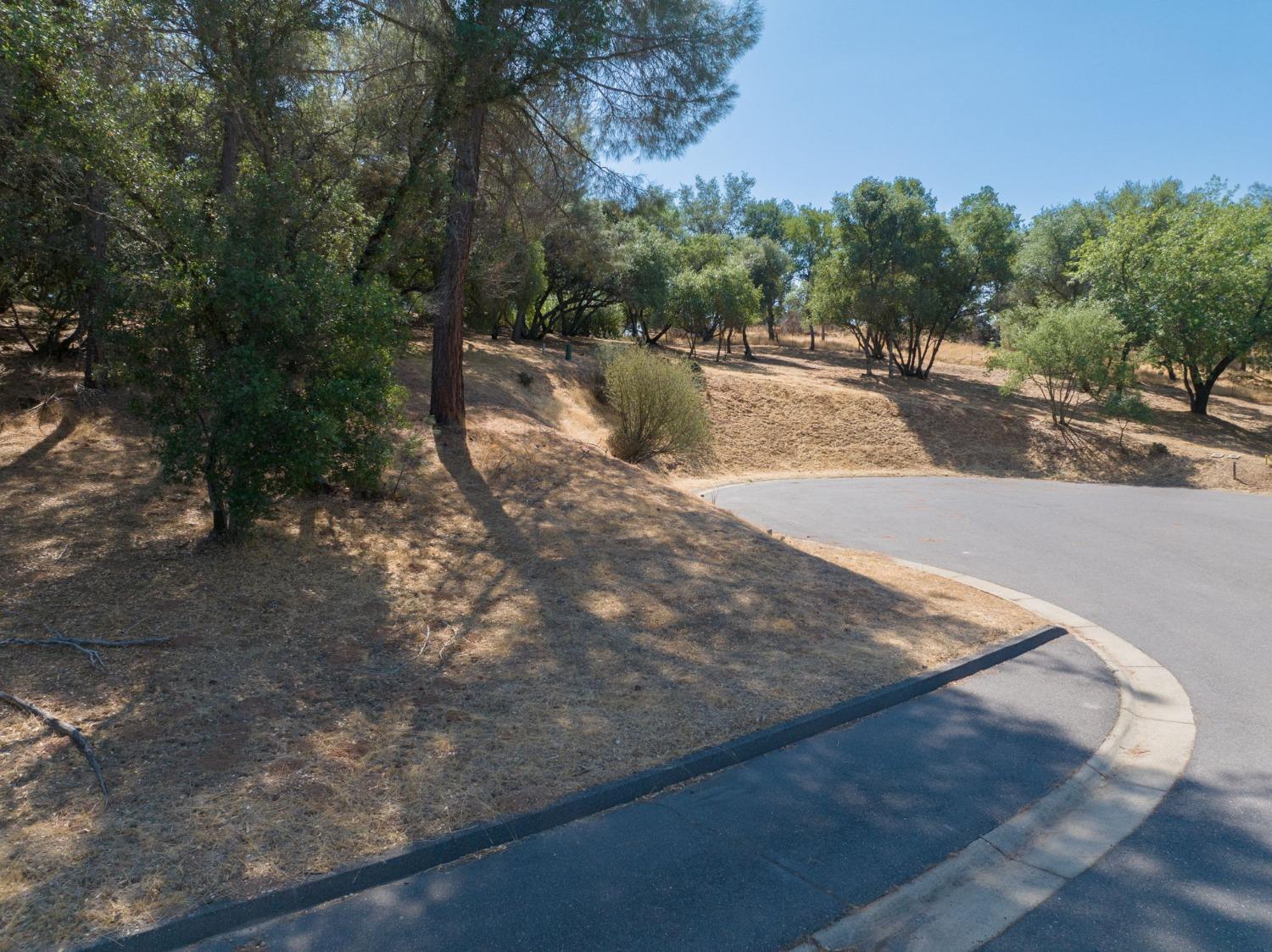 323 Mill Court, Angels Camp, California 95222, ,Land,For Sale,Mill,202303329