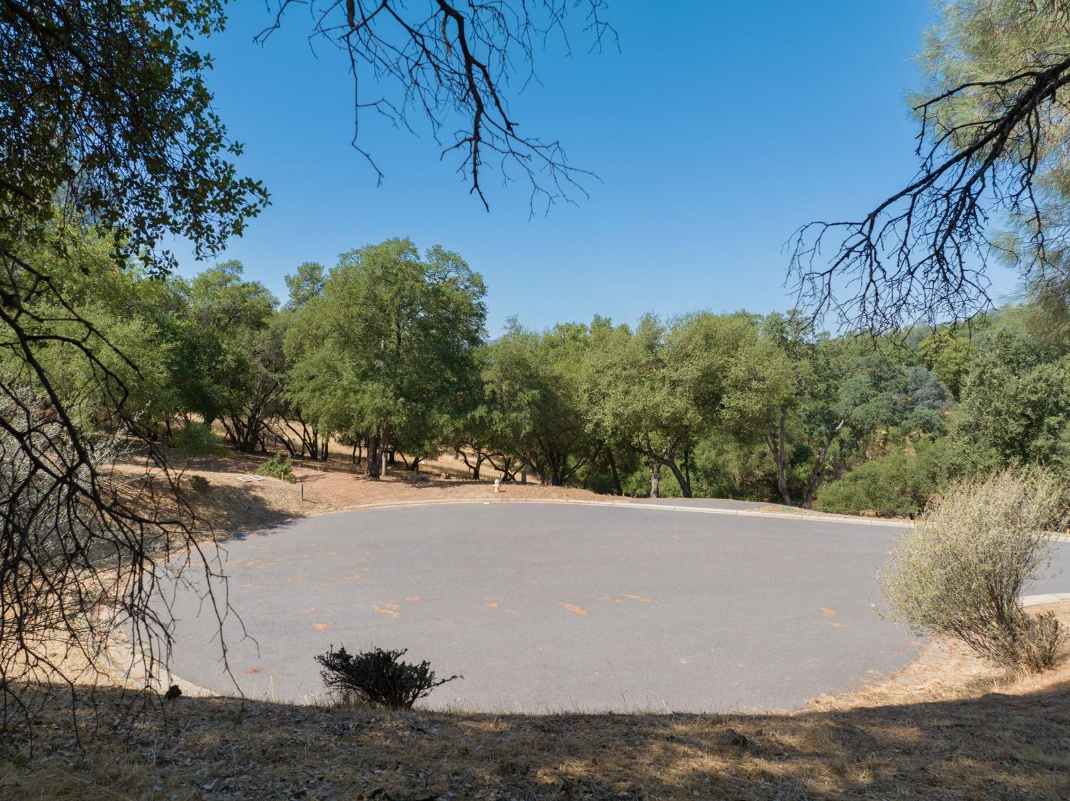 323 Mill Court, Angels Camp, California 95222, ,Land,For Sale,Mill,202303329