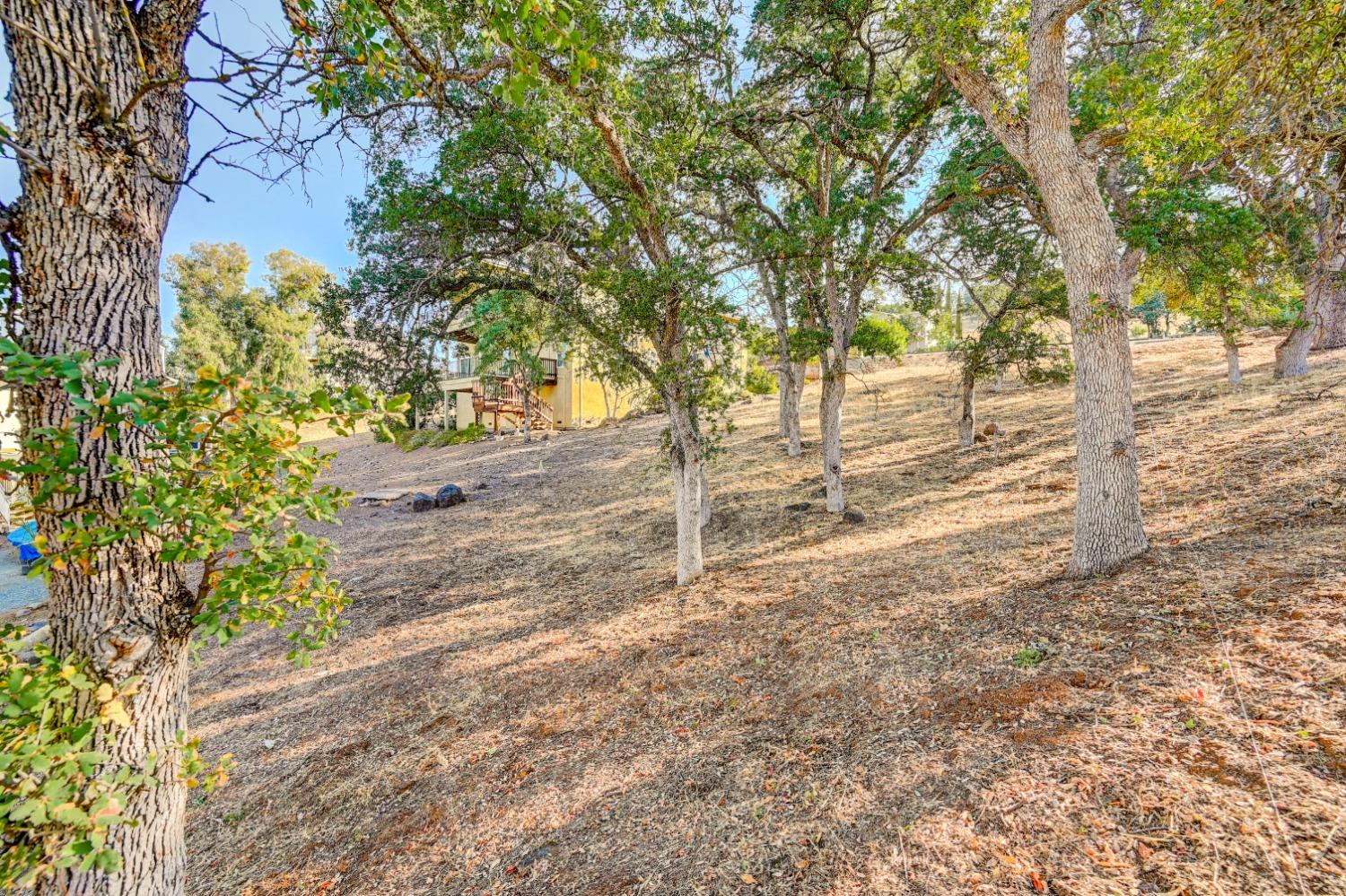 604 Poker Flat Road, Copperopolis, California 95228, ,Land,For Sale,Poker Flat Road,202303340