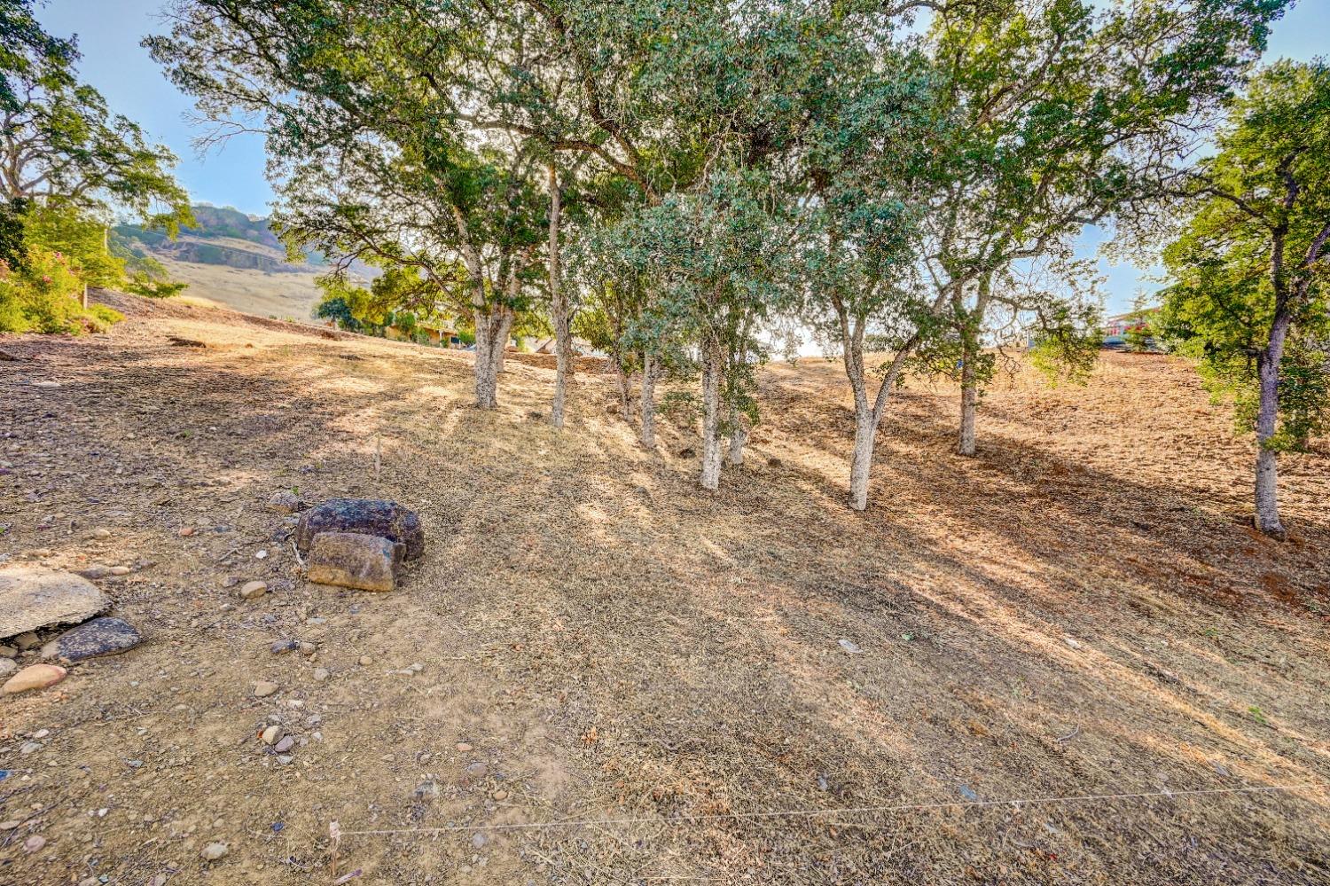 604 Poker Flat Road, Copperopolis, California 95228, ,Land,For Sale,Poker Flat Road,202303340