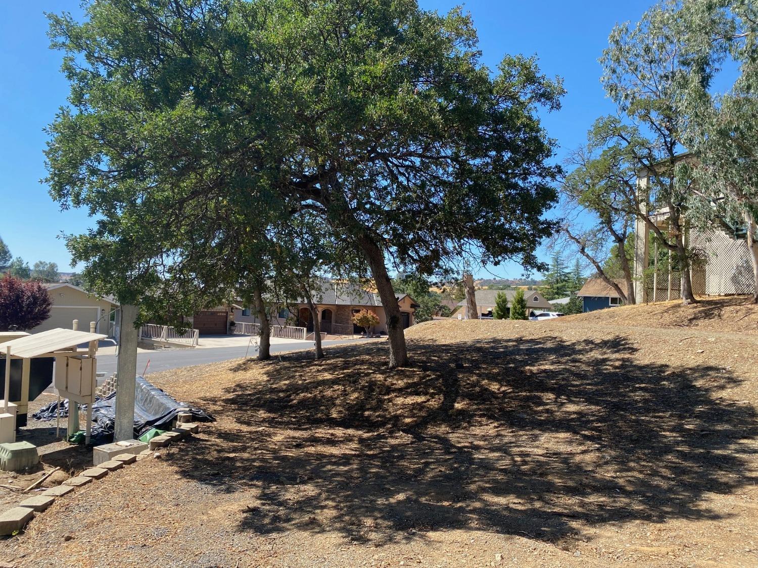 477 Bret Harte Drive, Copperopolis, California 95228, ,Land,For Sale,Bret Harte,202303316