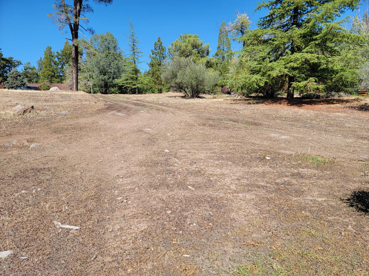 575 Sugarbush Lane, Murphys, California 95247, ,Land,For Sale,Sugarbush,202303342