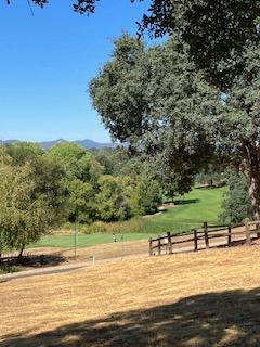 507 Rosebush Court, Angels Camp, California 95222, ,Land,For Sale,Rosebush,202303347