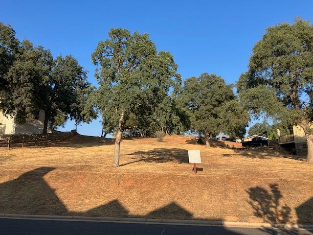 507 Rosebush Court, Angels Camp, California 95222, ,Land,For Sale,Rosebush,202303347