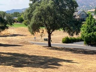 507 Rosebush Court, Angels Camp, California 95222, ,Land,For Sale,Rosebush,202303347