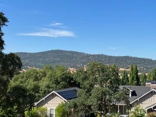 507 Rosebush Court, Angels Camp, California 95222, ,Land,For Sale,Rosebush,202303347