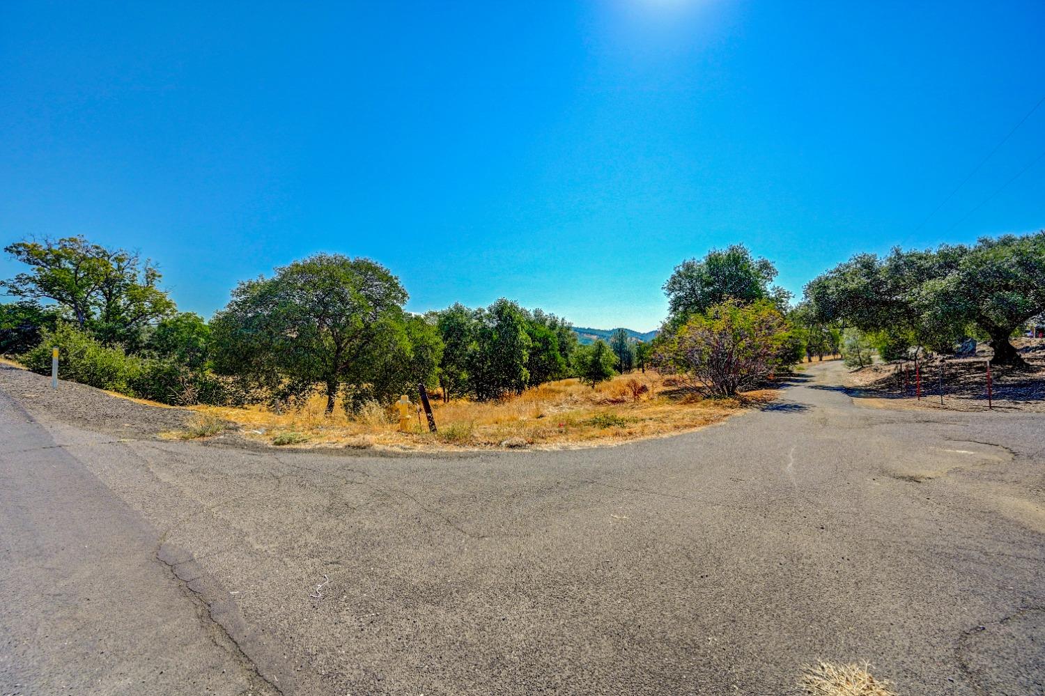 668 Murphys Grade Road, Angels Camp, California 95222, ,Land,For Sale,Murphys Grade,202303339