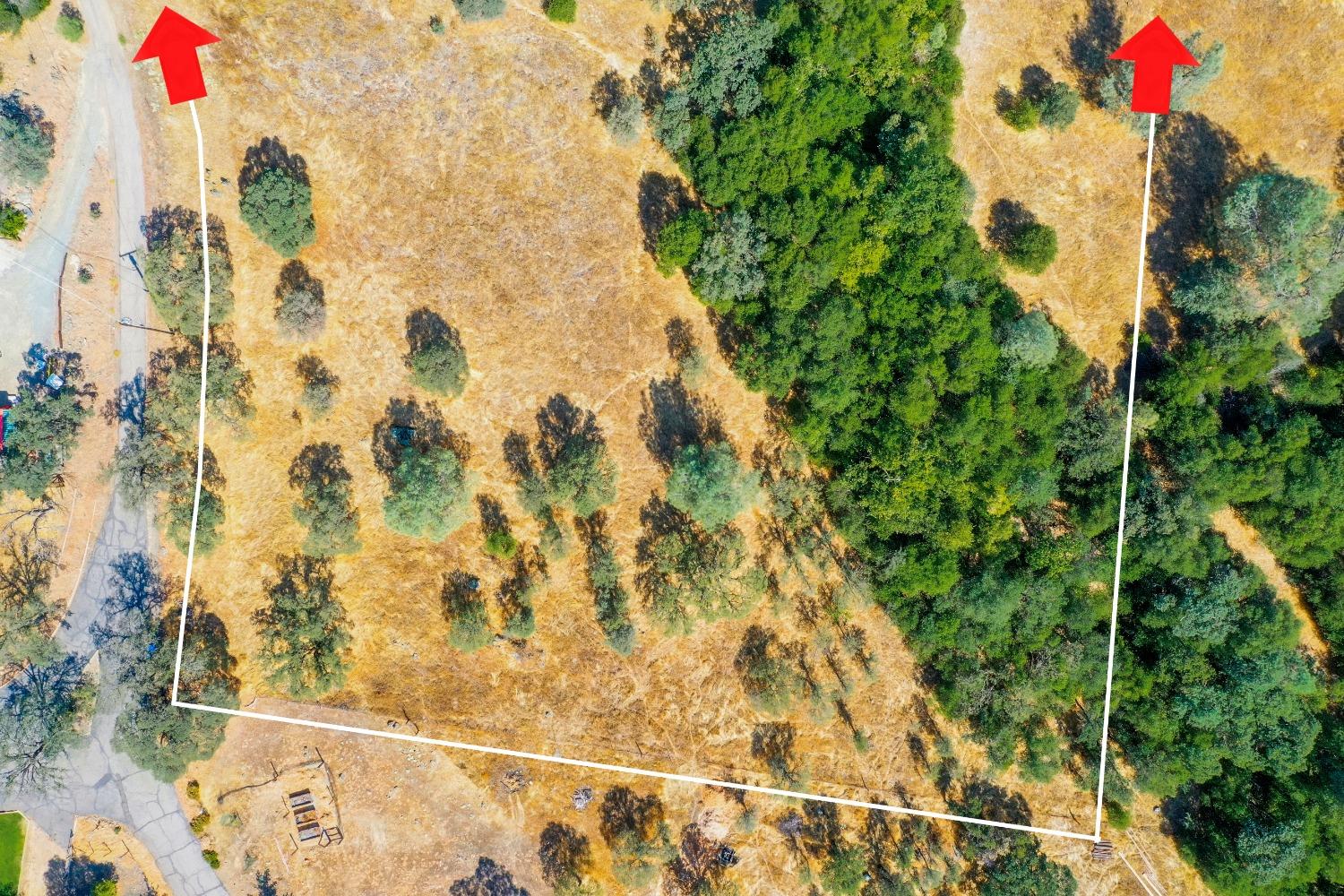 668 Murphys Grade Road, Angels Camp, California 95222, ,Land,For Sale,Murphys Grade,202303339