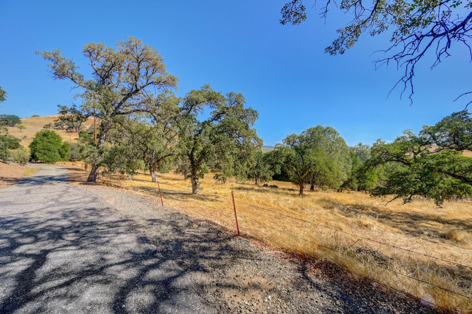 668 Murphys Grade Road, Angels Camp, California 95222, ,Land,For Sale,Murphys Grade,202303339