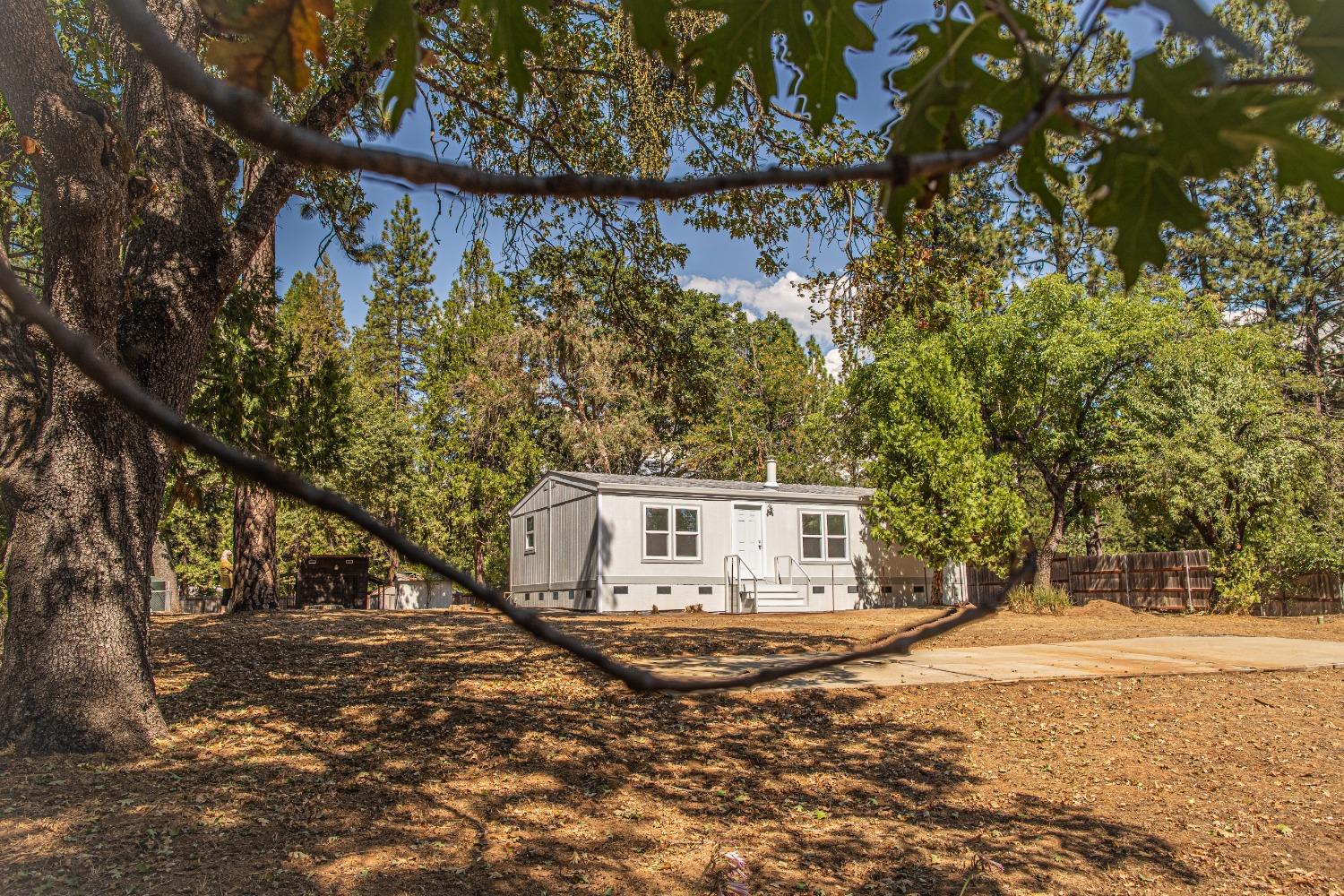 101 Hofeditz Road, Mokelumne Hill, California 95245, 3 Bedrooms Bedrooms, ,2 BathroomsBathrooms,Residential,For Sale,Hofeditz,202303352