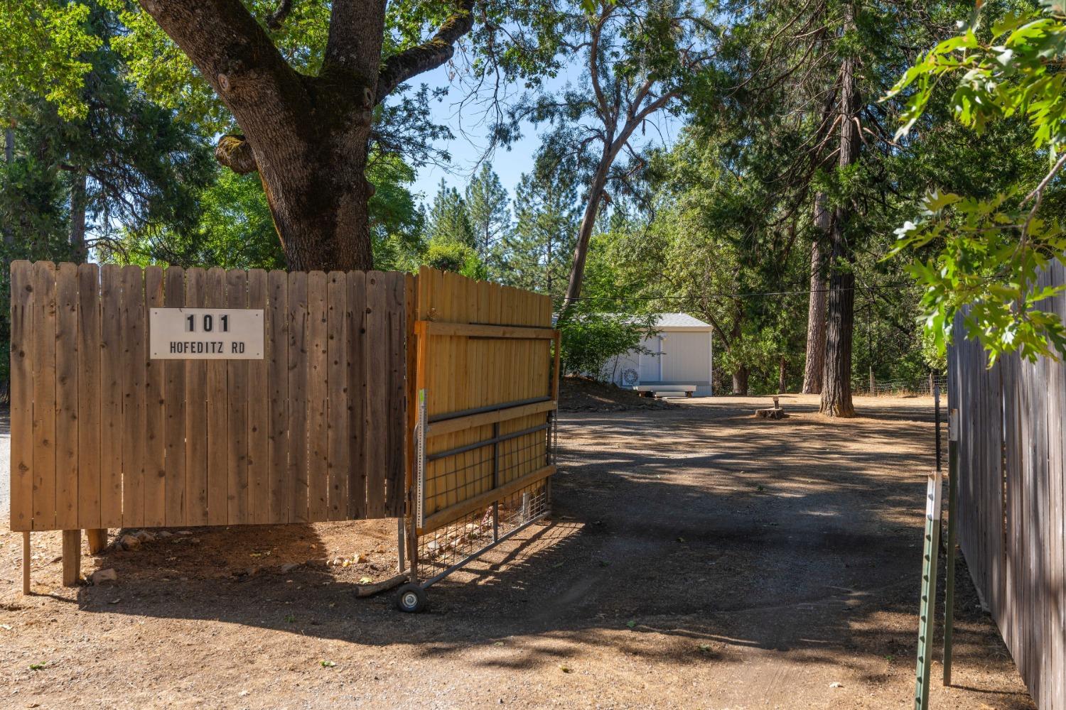 101 Hofeditz Road, Mokelumne Hill, California 95245, 3 Bedrooms Bedrooms, ,2 BathroomsBathrooms,Residential,For Sale,Hofeditz,202303352