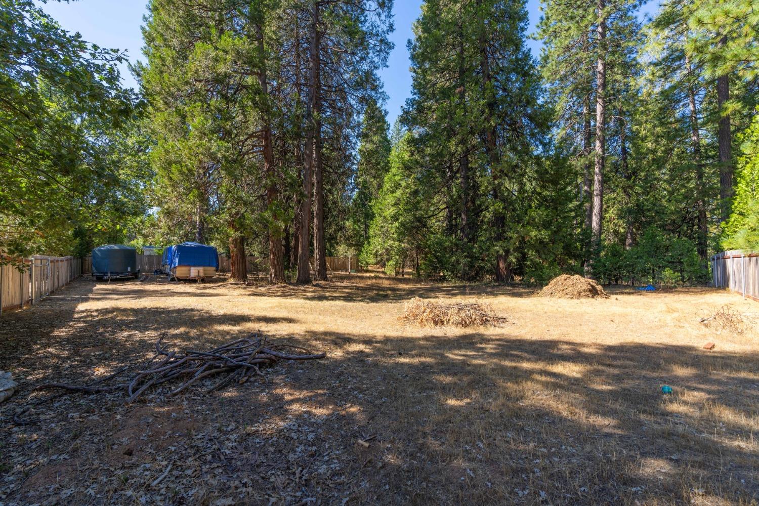 101 Hofeditz Road, Mokelumne Hill, California 95245, 3 Bedrooms Bedrooms, ,2 BathroomsBathrooms,Residential,For Sale,Hofeditz,202303352