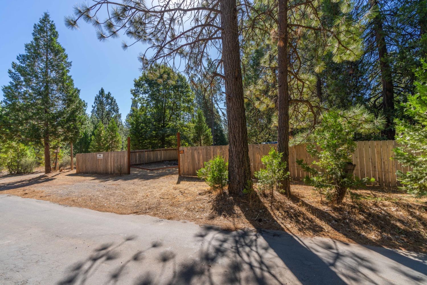 101 Hofeditz Road, Mokelumne Hill, California 95245, 3 Bedrooms Bedrooms, ,2 BathroomsBathrooms,Residential,For Sale,Hofeditz,202303352