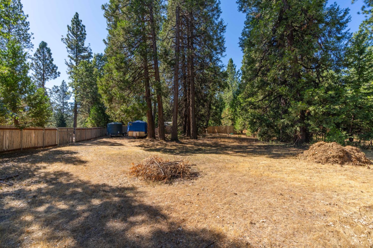 101 Hofeditz Road, Mokelumne Hill, California 95245, 3 Bedrooms Bedrooms, ,2 BathroomsBathrooms,Residential,For Sale,Hofeditz,202303352