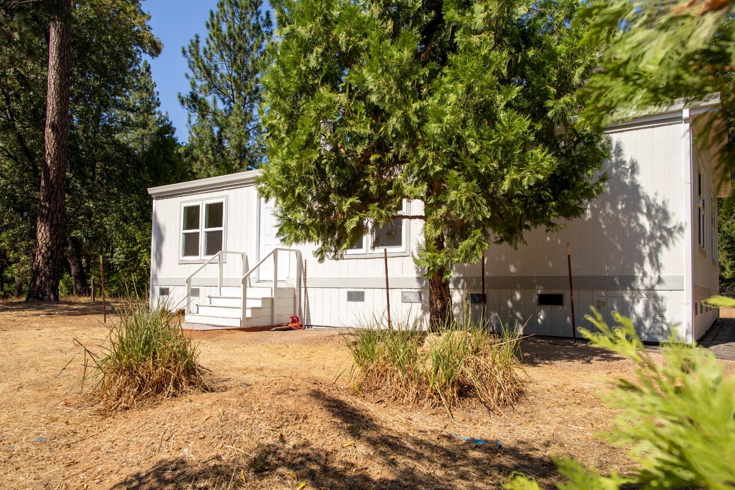 101 Hofeditz Road, Mokelumne Hill, California 95245, 3 Bedrooms Bedrooms, ,2 BathroomsBathrooms,Residential,For Sale,Hofeditz,202303352