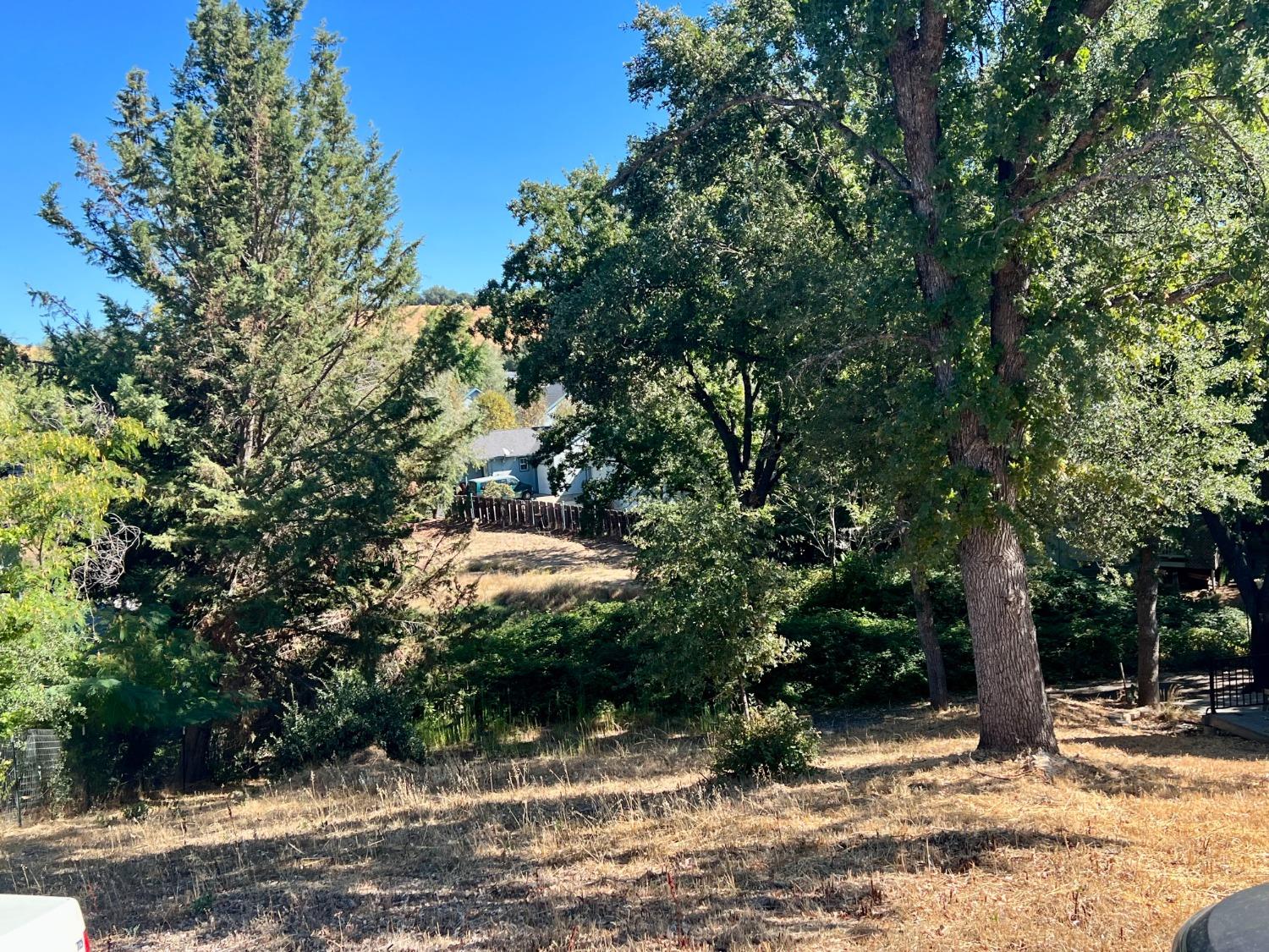 0 Purdy Road, Angels Camp, California 95222, ,Land,For Sale,Purdy,202303400