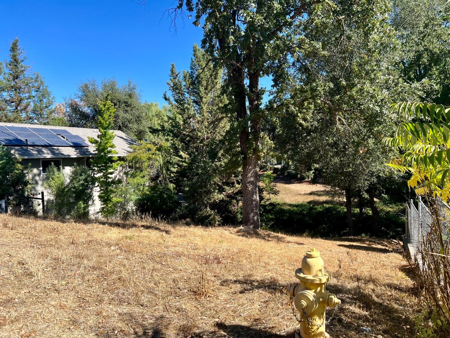 0 Purdy Road, Angels Camp, California 95222, ,Land,For Sale,Purdy,202303400