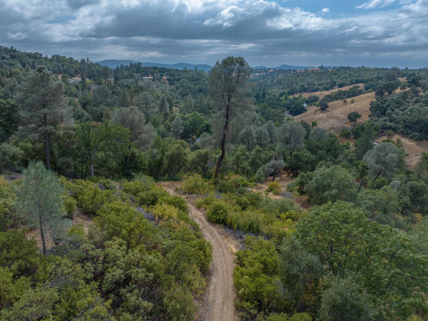 3314 Canyon Court, Murphys, California 95247, ,Land,For Sale,Canyon,202303399