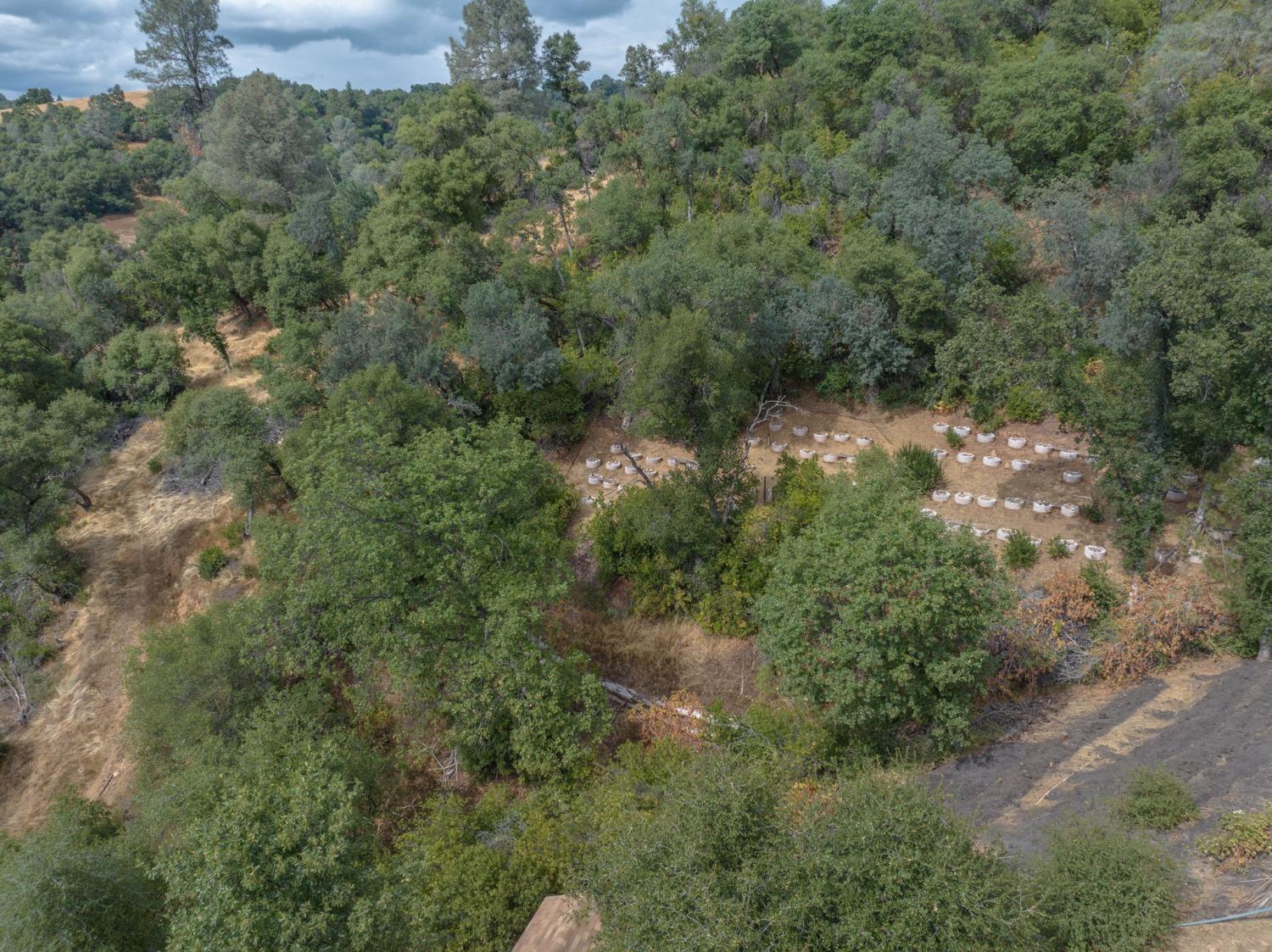 3314 Canyon Court, Murphys, California 95247, ,Land,For Sale,Canyon,202303399