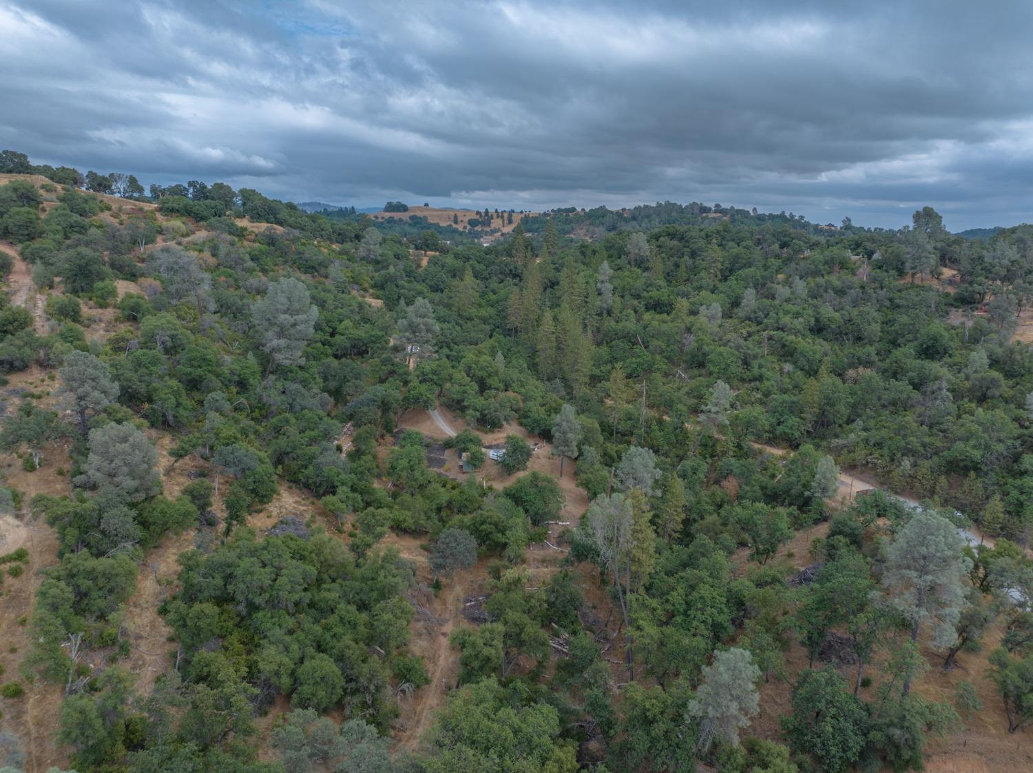 3314 Canyon Court, Murphys, California 95247, ,Land,For Sale,Canyon,202303399