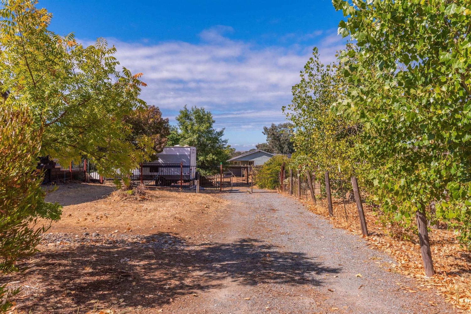 6952 Mitchell Lane, Valley Springs, California 95252, 3 Bedrooms Bedrooms, ,2 BathroomsBathrooms,Residential,For Sale,Mitchell,202303398