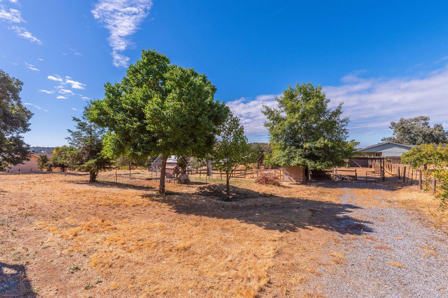 6952 Mitchell Lane, Valley Springs, California 95252, 3 Bedrooms Bedrooms, ,2 BathroomsBathrooms,Residential,For Sale,Mitchell,202303398