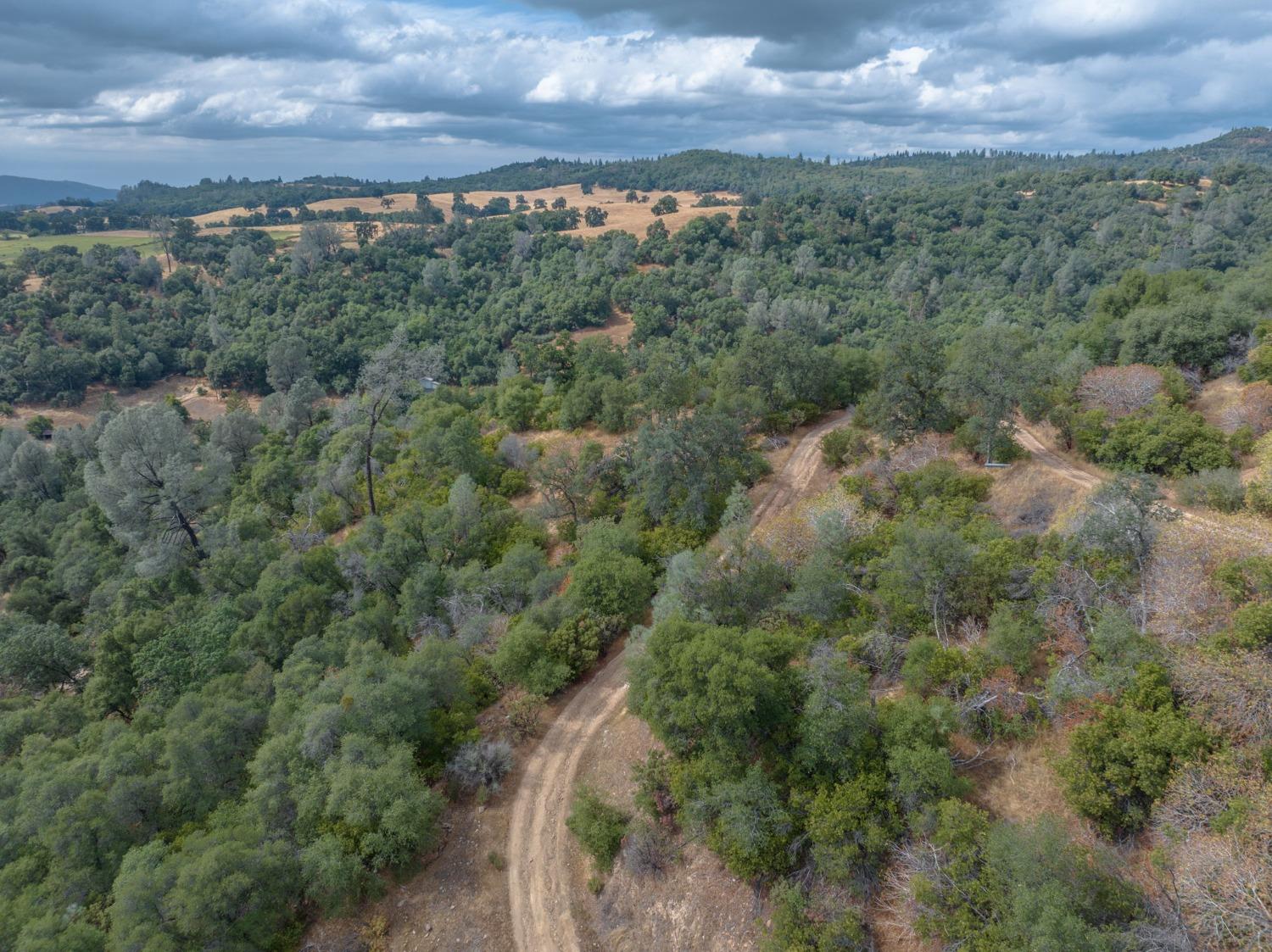 3300 Canyon Court, Murphys, California 95247, ,Land,For Sale,Canyon,202303397