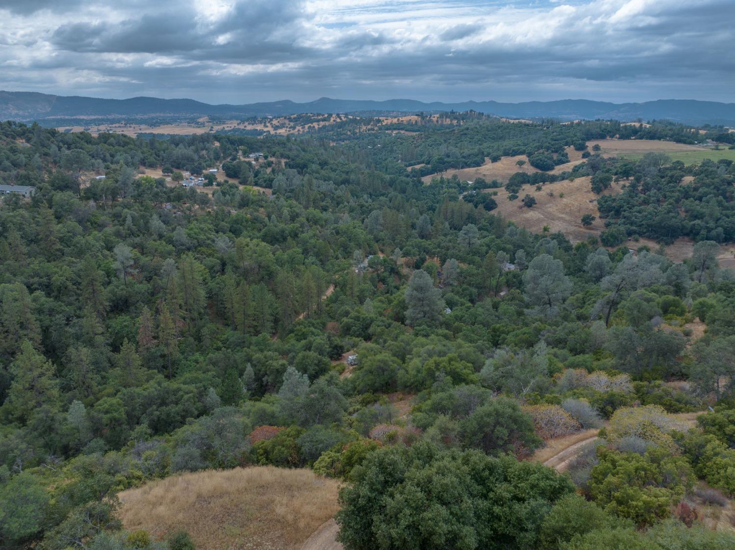 3300 Canyon Court, Murphys, California 95247, ,Land,For Sale,Canyon,202303397