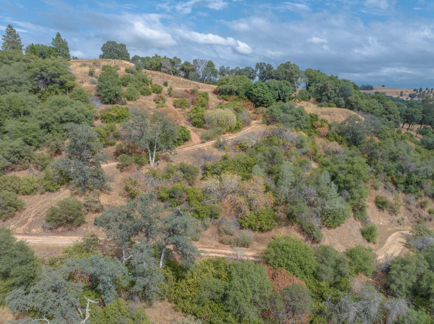 3300 Canyon Court, Murphys, California 95247, ,Land,For Sale,Canyon,202303397