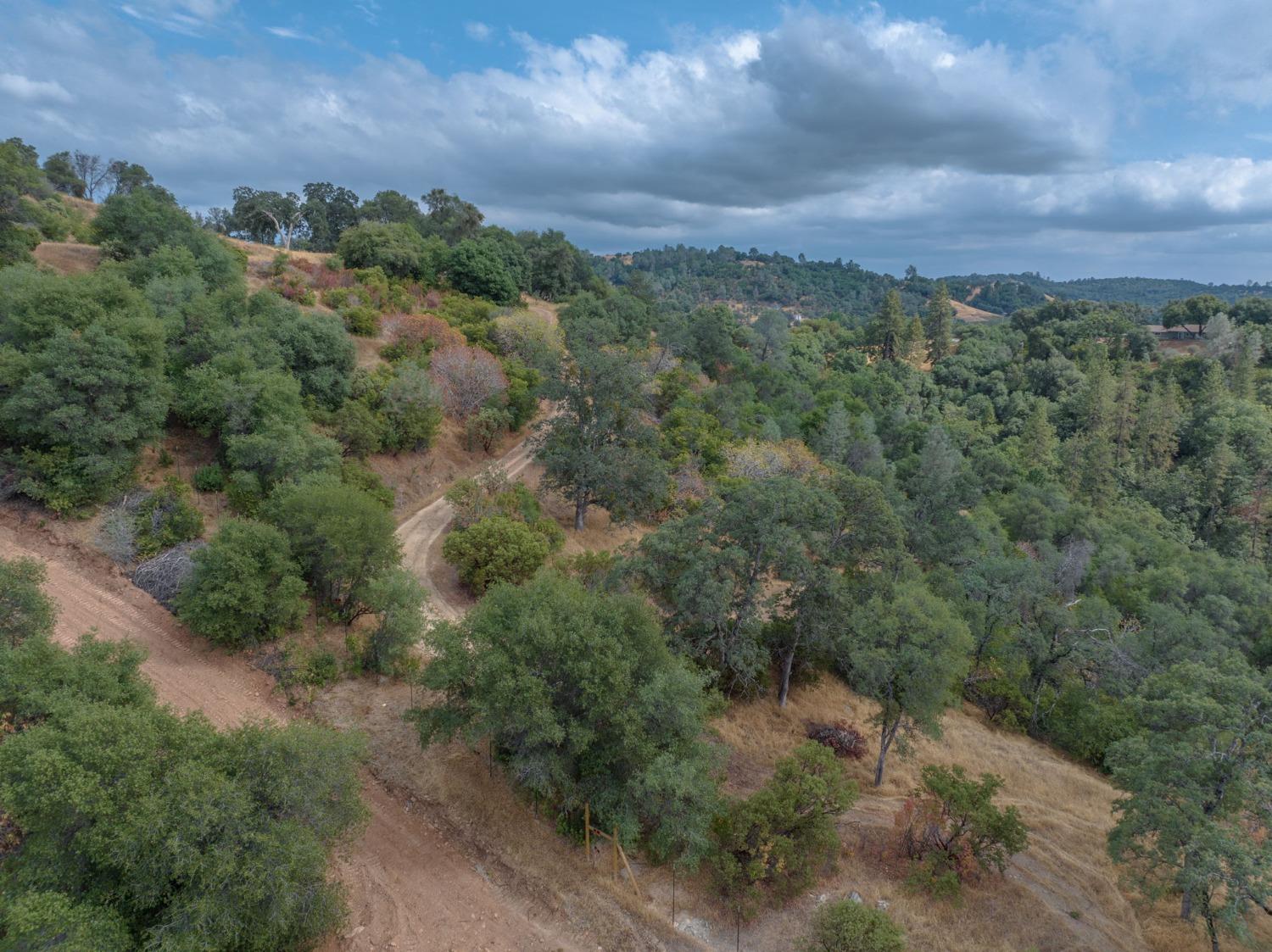 3300 Canyon Court, Murphys, California 95247, ,Land,For Sale,Canyon,202303397