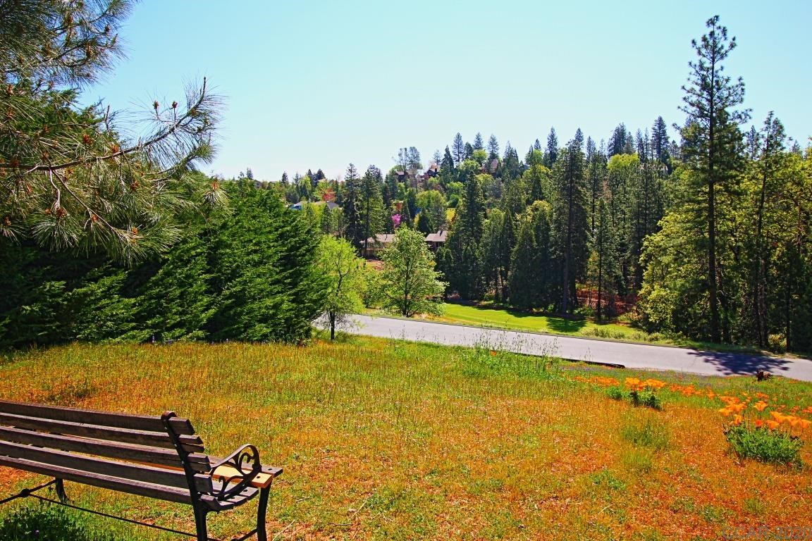501 Forest Meadows Dr, Murphys, California 95247, ,Land,For Sale,Forest Meadows Dr,202303415