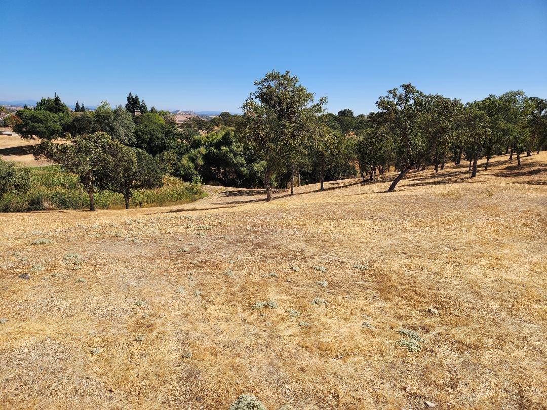 273 Hawk Ridge, Copperopolis, California 95228, ,Land,For Sale,Hawk Ridge,202303419