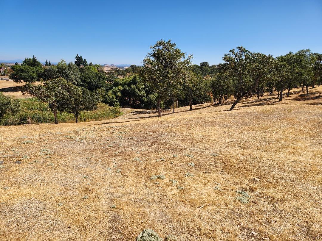 273 Hawk Ridge, Copperopolis, California 95228, ,Land,For Sale,Hawk Ridge,202303419