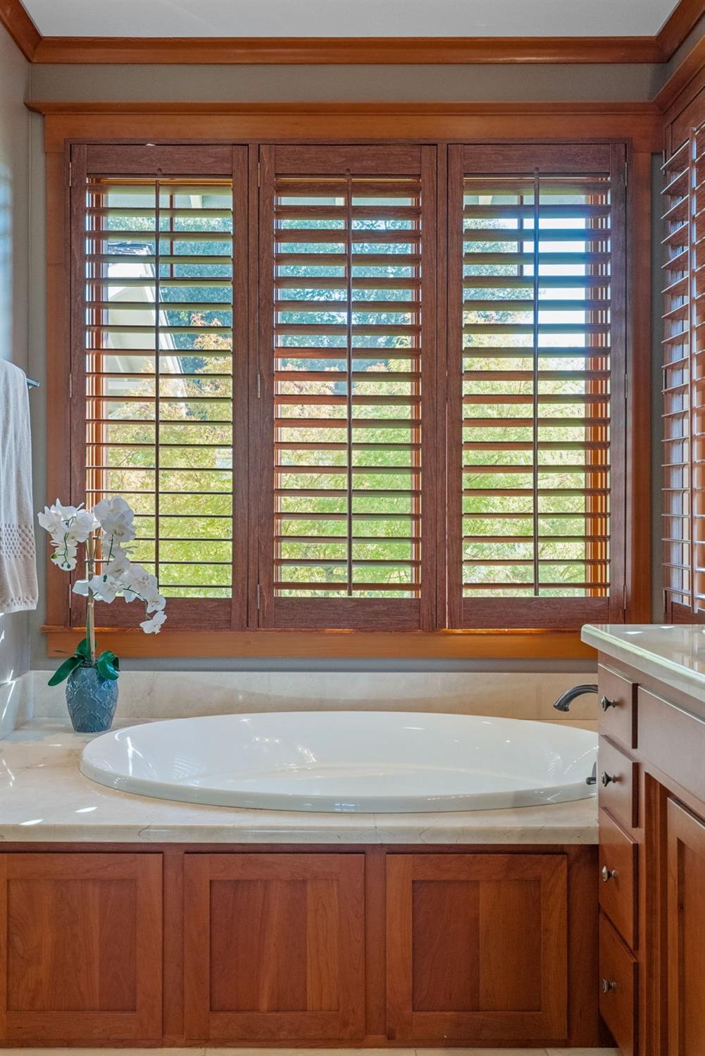 Master Bath Shower