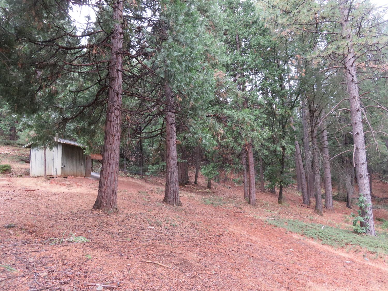 3170 Liberty Hill Road, Mokelumne Hill, California 95245, 2 Bedrooms Bedrooms, ,1 BathroomBathrooms,Residential,For Sale,Liberty Hill,202303421