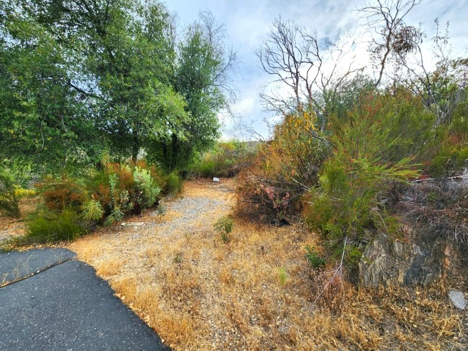 5153 Mountain Ranch Road, Mountain Ranch, California 95246, ,Land,For Sale,Mountain Ranch,202303420