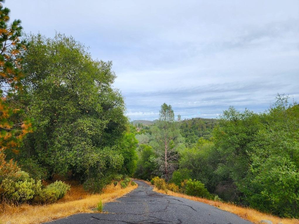 5153 Mountain Ranch Road, Mountain Ranch, California 95246, ,Land,For Sale,Mountain Ranch,202303420