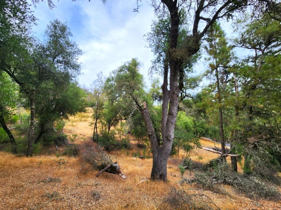 5153 Mountain Ranch Road, Mountain Ranch, California 95246, ,Land,For Sale,Mountain Ranch,202303420