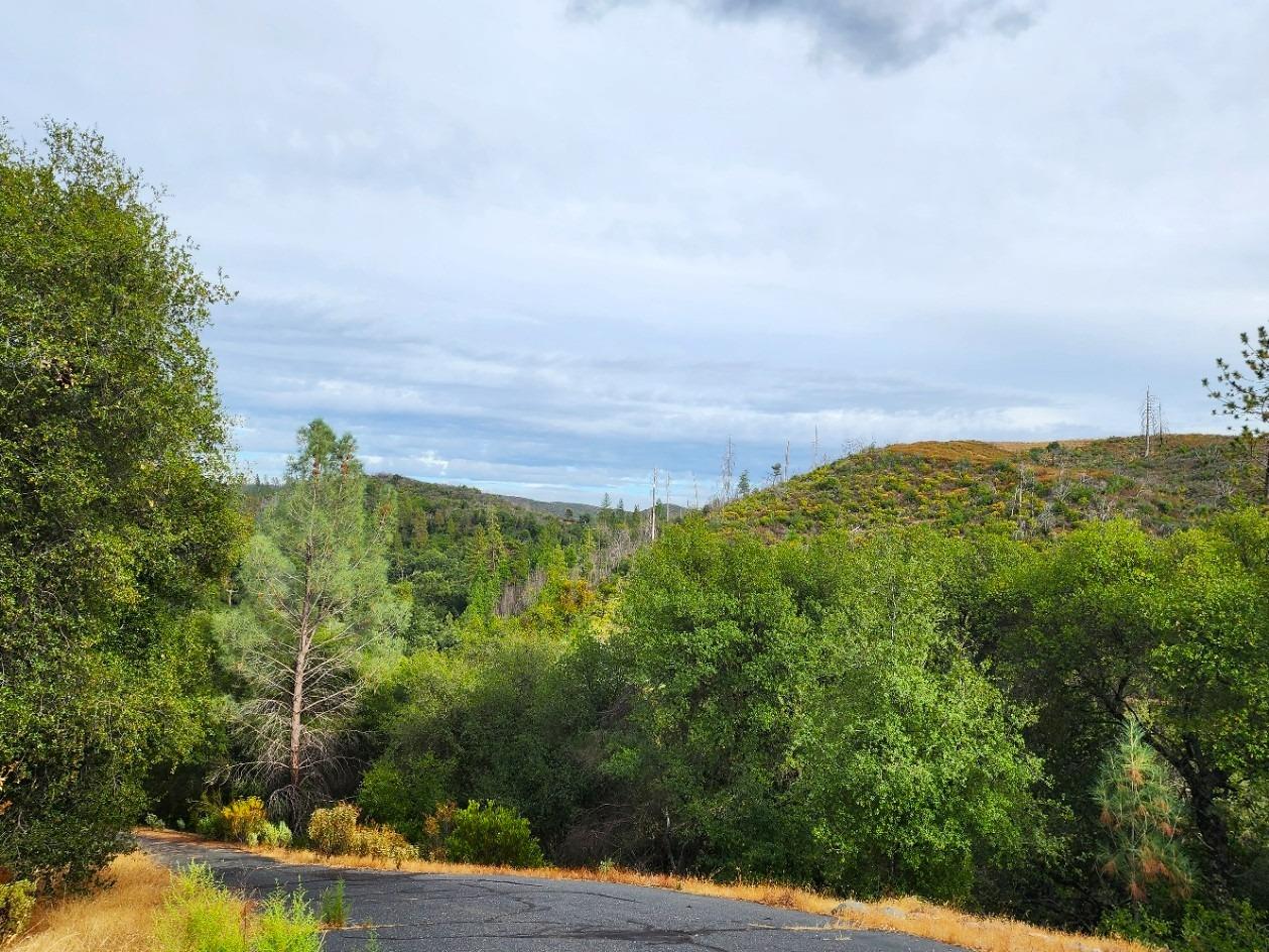 5153 Mountain Ranch Road, Mountain Ranch, California 95246, ,Land,For Sale,Mountain Ranch,202303420