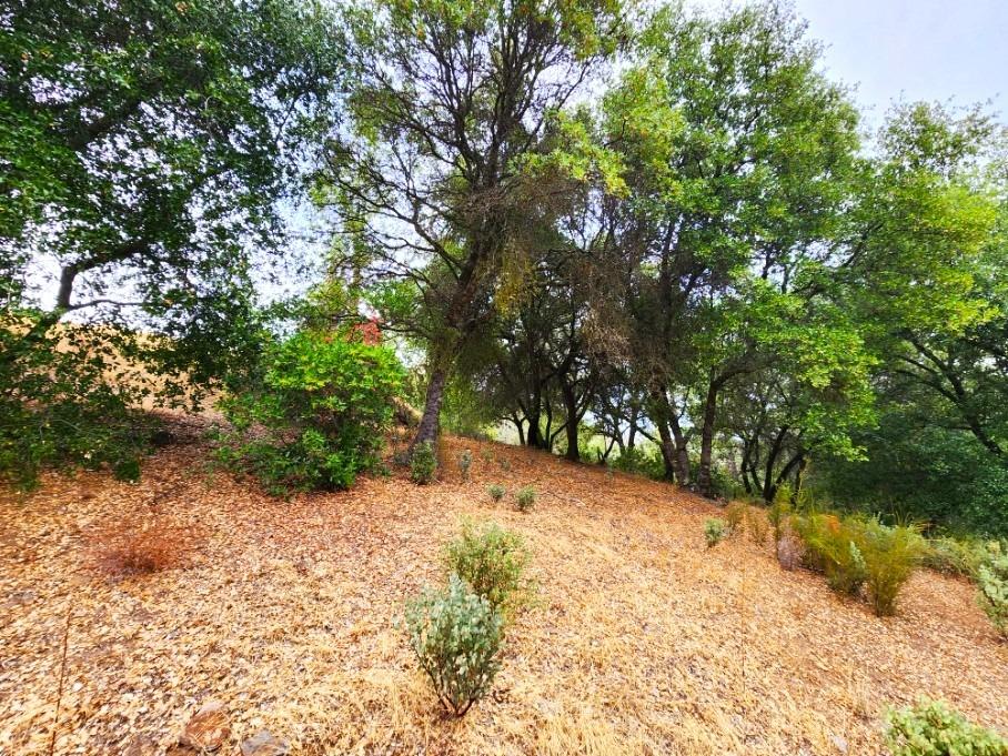 5153 Mountain Ranch Road, Mountain Ranch, California 95246, ,Land,For Sale,Mountain Ranch,202303420