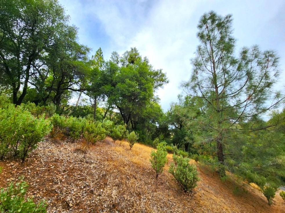 5153 Mountain Ranch Road, Mountain Ranch, California 95246, ,Land,For Sale,Mountain Ranch,202303420