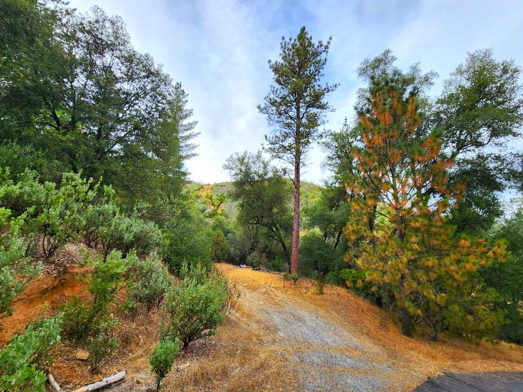 5153 Mountain Ranch Road, Mountain Ranch, California 95246, ,Land,For Sale,Mountain Ranch,202303420