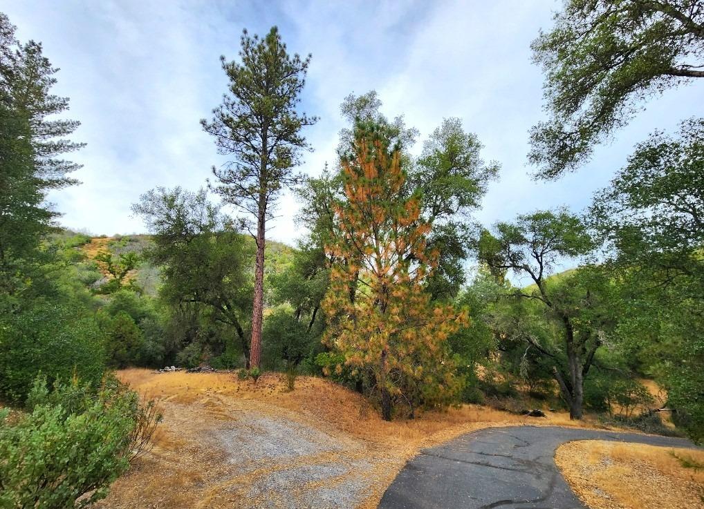 5153 Mountain Ranch Road, Mountain Ranch, California 95246, ,Land,For Sale,Mountain Ranch,202303420