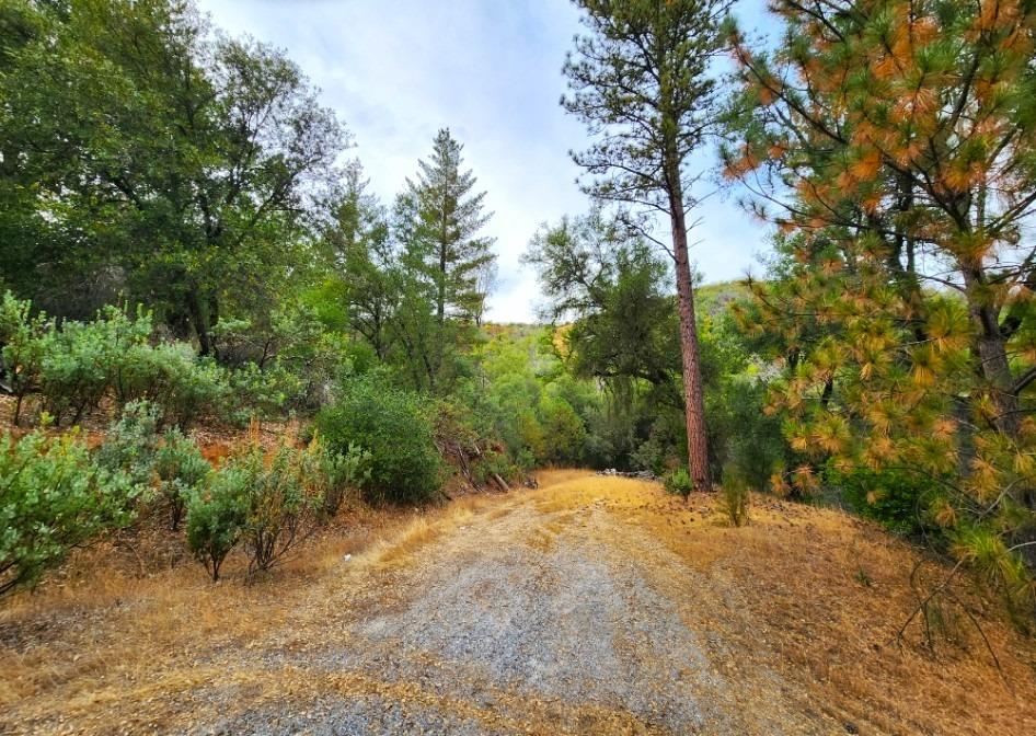 5153 Mountain Ranch Road, Mountain Ranch, California 95246, ,Land,For Sale,Mountain Ranch,202303420