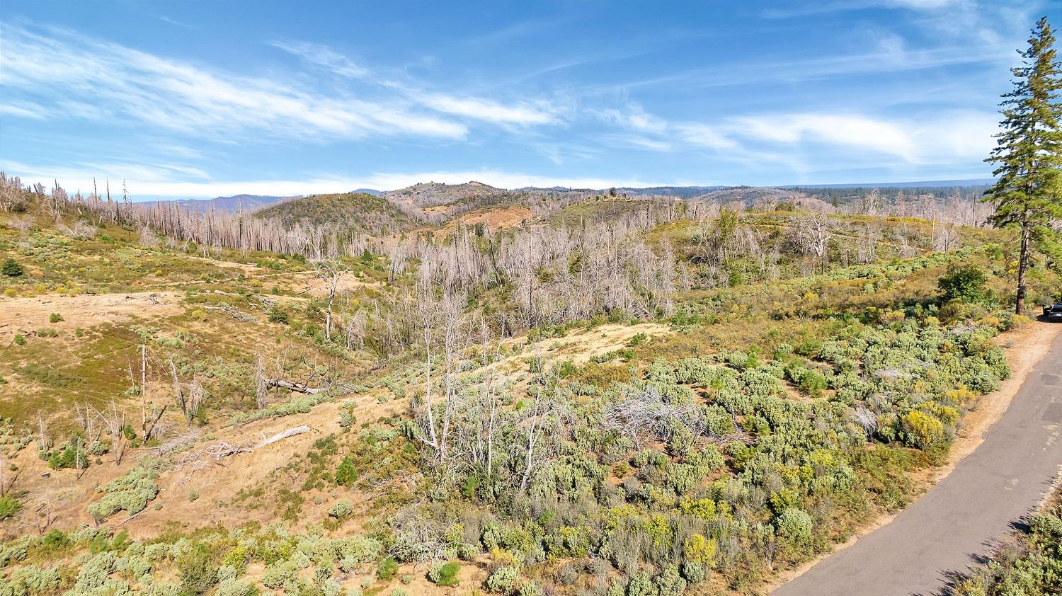 1 Baker Riley, Mountain Ranch, California 95246, ,Land,For Sale,Baker Riley,202303431