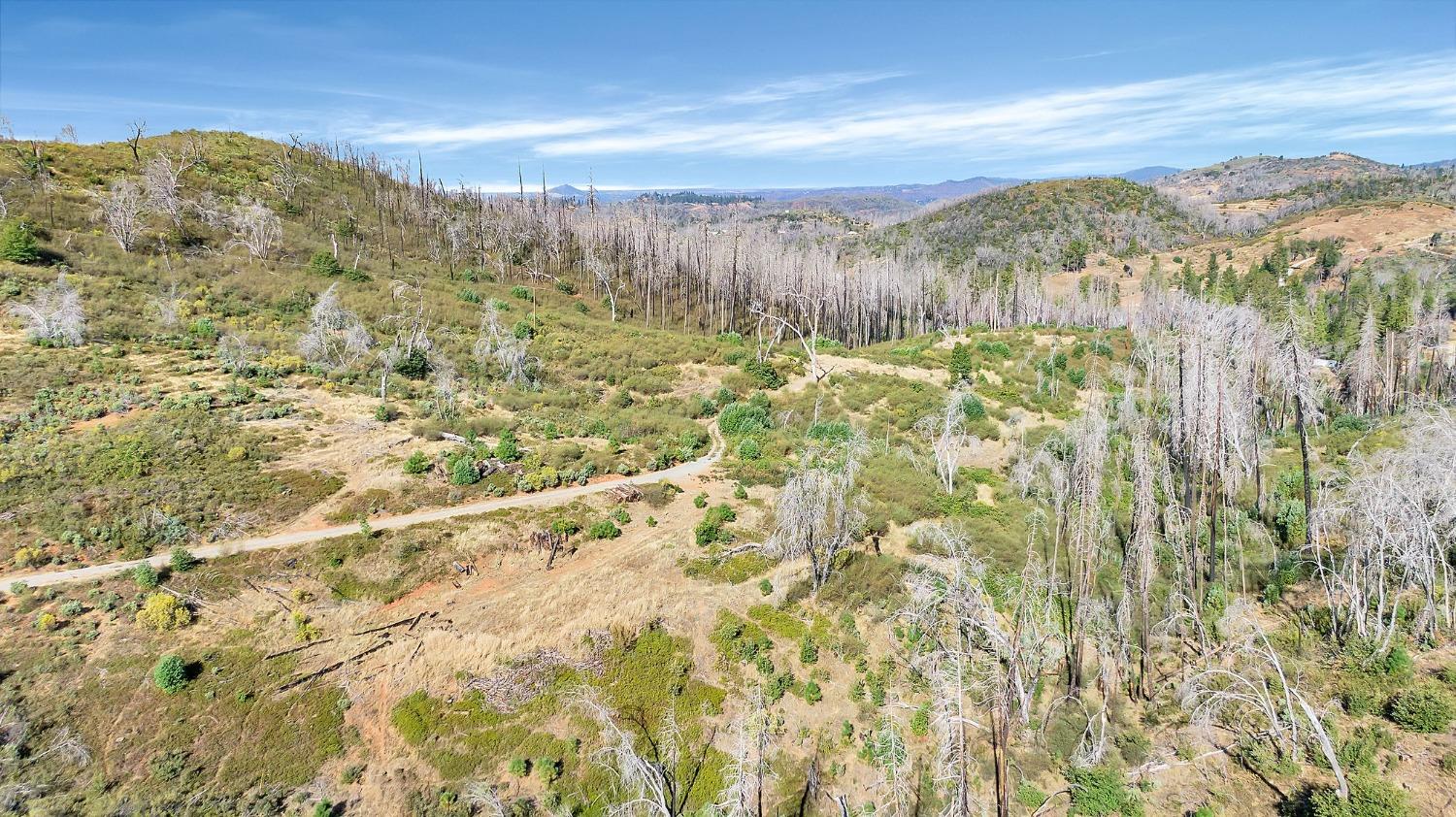 1 Baker Riley, Mountain Ranch, California 95246, ,Land,For Sale,Baker Riley,202303431