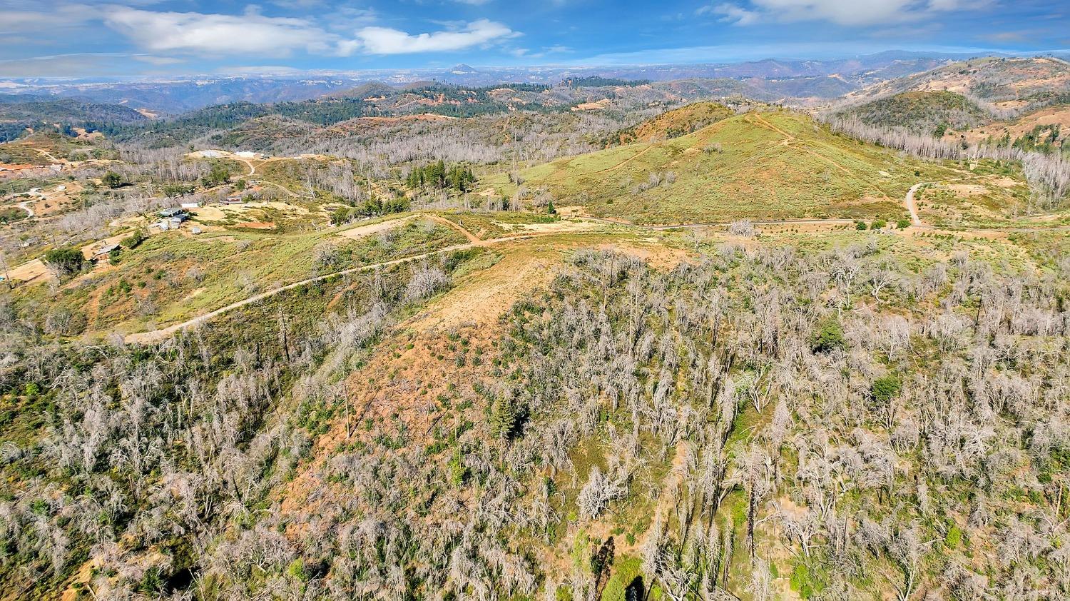 2 Baker Riley, Mountain Ranch, California 95246, ,Land,For Sale,Baker Riley,202303432